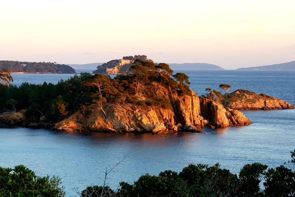 Face Mer Entre Plage Et Marina Bormes-les-Mimosas Eksteriør billede