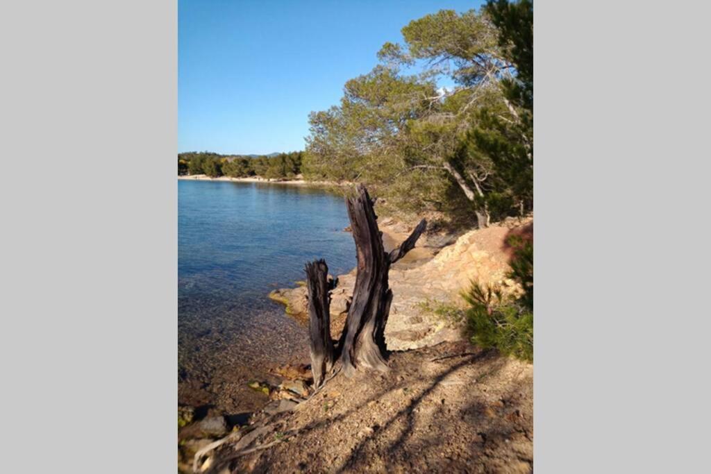 Face Mer Entre Plage Et Marina Bormes-les-Mimosas Eksteriør billede